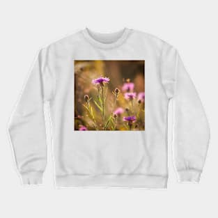 Brown Knapweed Crewneck Sweatshirt